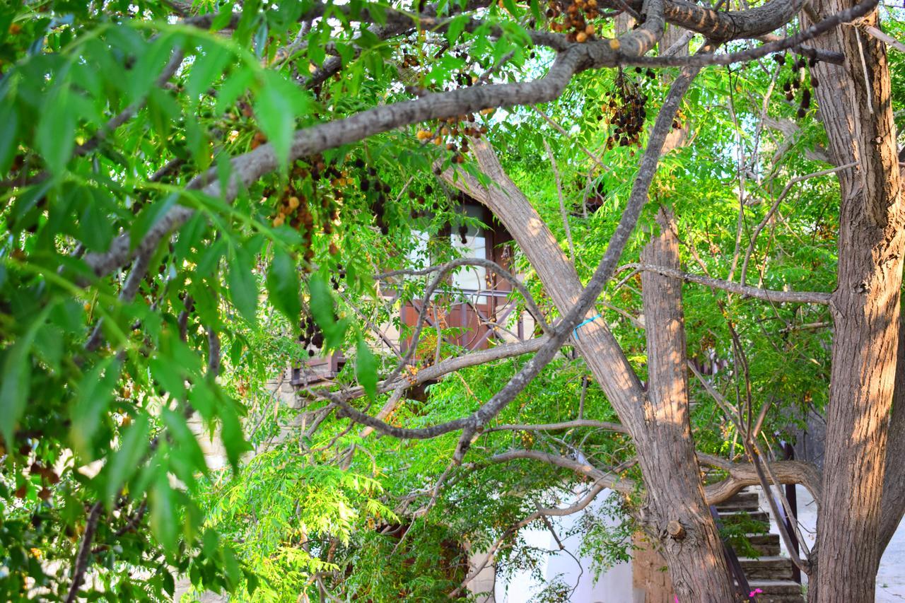 Vasilopoulos House Tochni Exterior foto